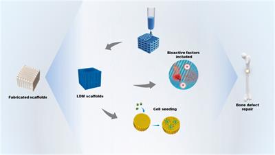 Low-temperature deposition manufacturing technology: a novel 3D printing method for bone scaffolds